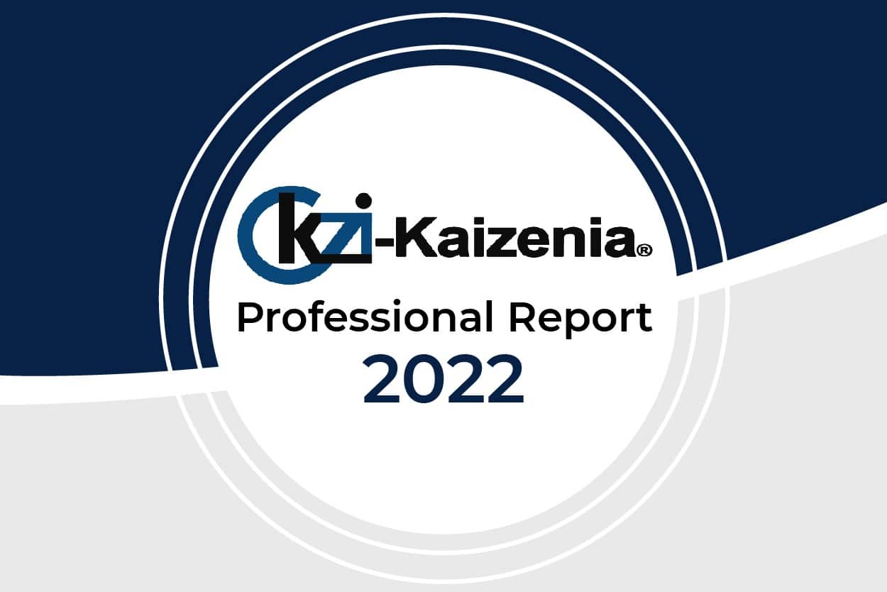 KZI Professional Report 2022