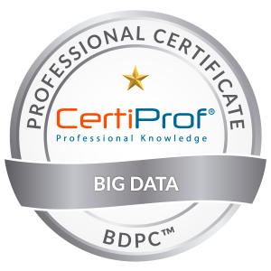 Big-Data-Professional-Certificate-BDPC-2-300x300