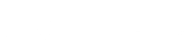 kzi-kaizenia